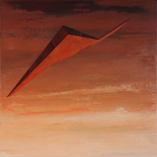 Alto riesgo / 50 x 50 cm / 2011
